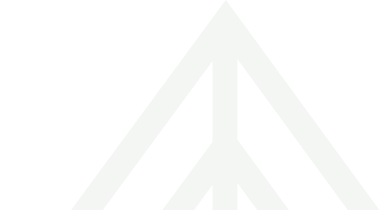 Cedar Insurance Vector